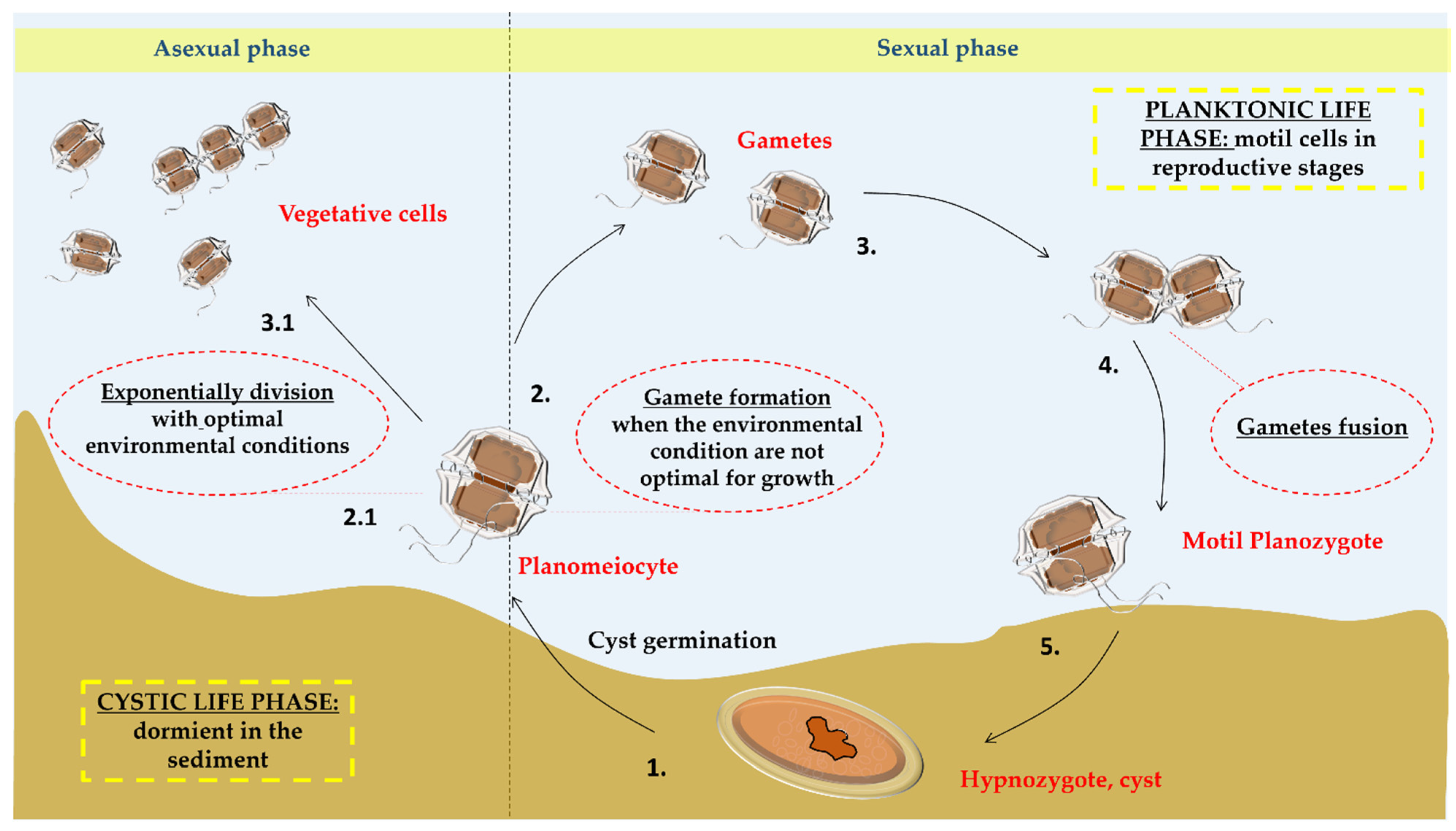 Marinedrugs 22 00031 g001