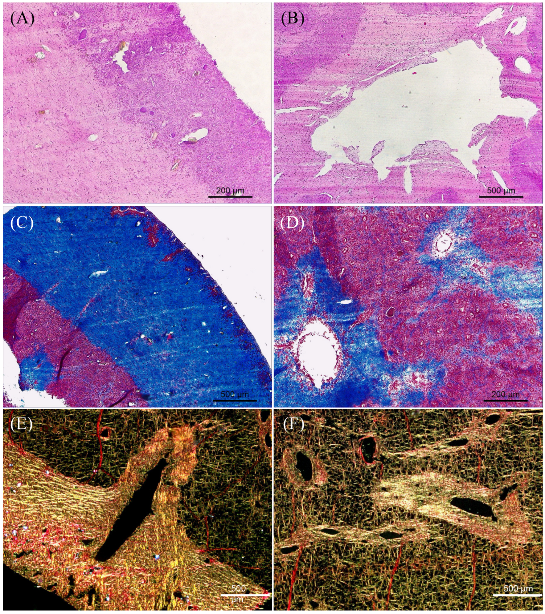 Marinedrugs 22 00055 g001