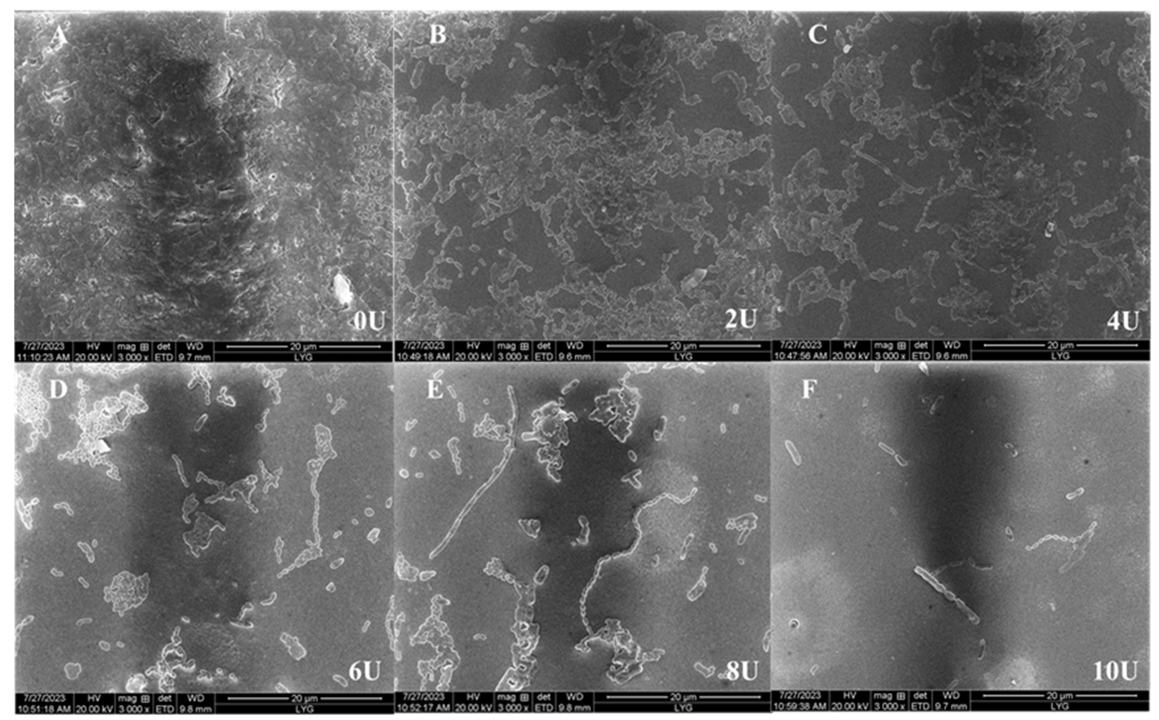 Marinedrugs 22 00069 g007