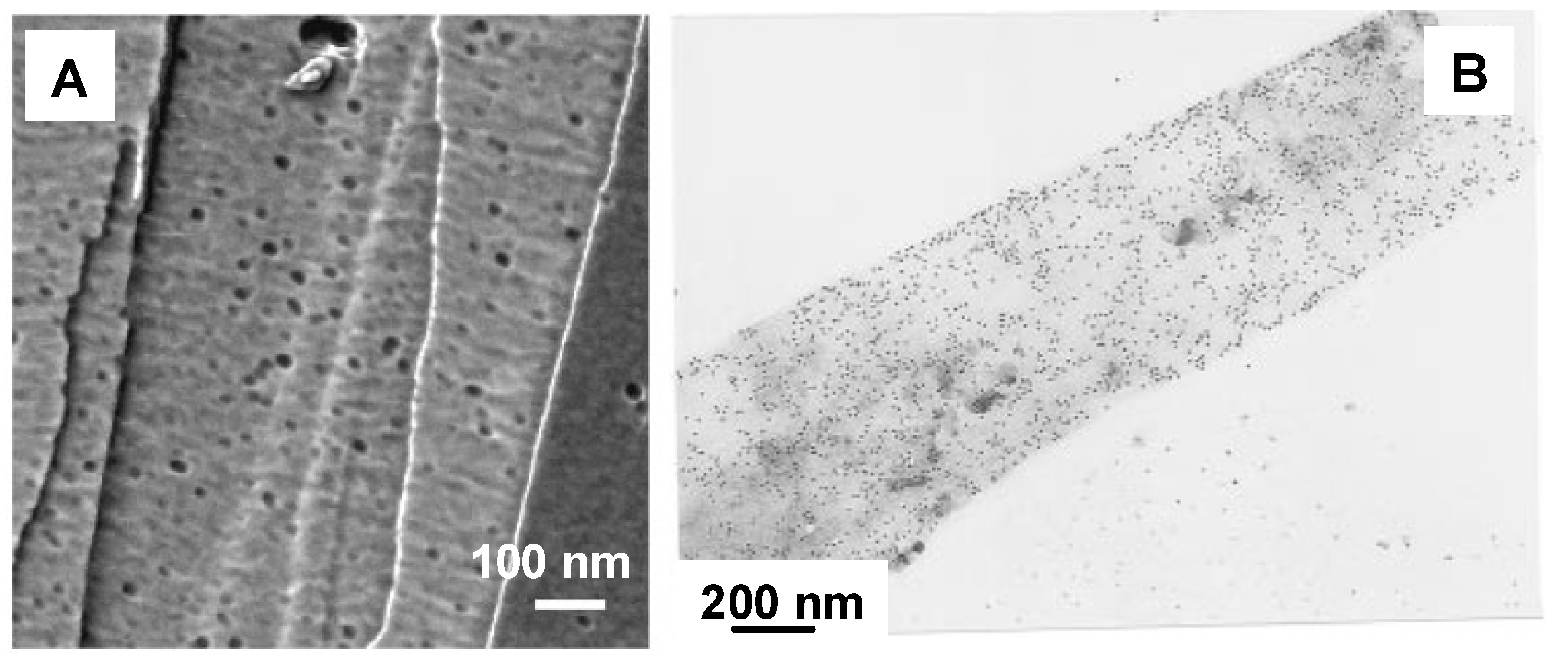 Materials 02 01104 g005