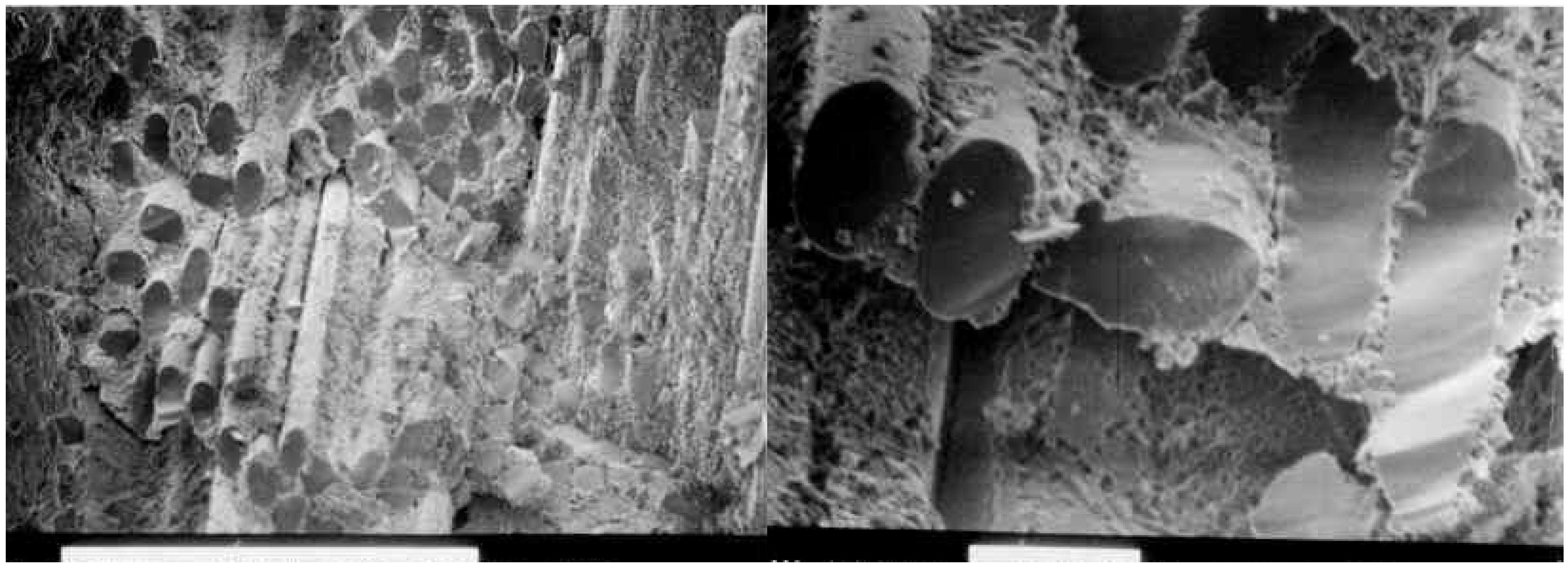 Materials 02 02216 g008