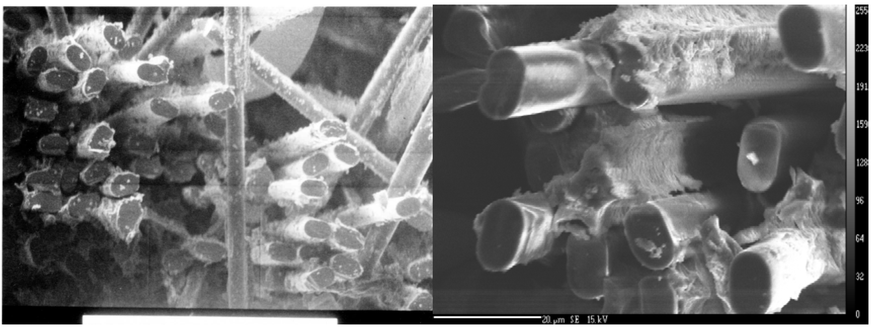 Materials 02 02216 g009