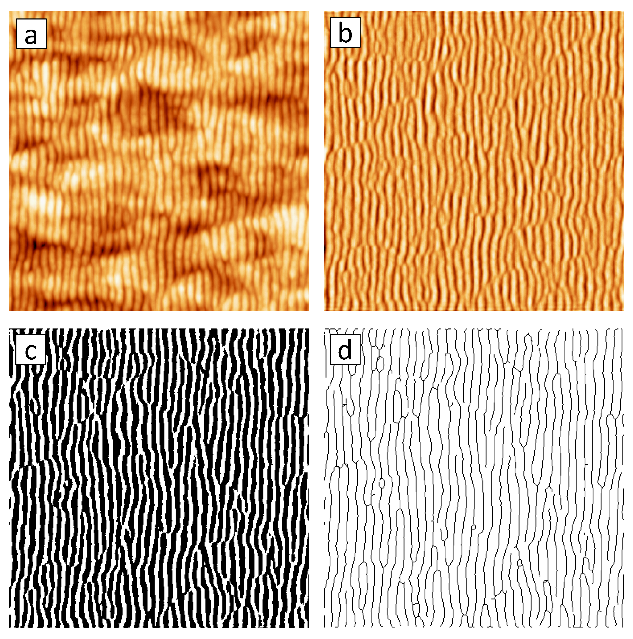 Materials 03 04811 g011