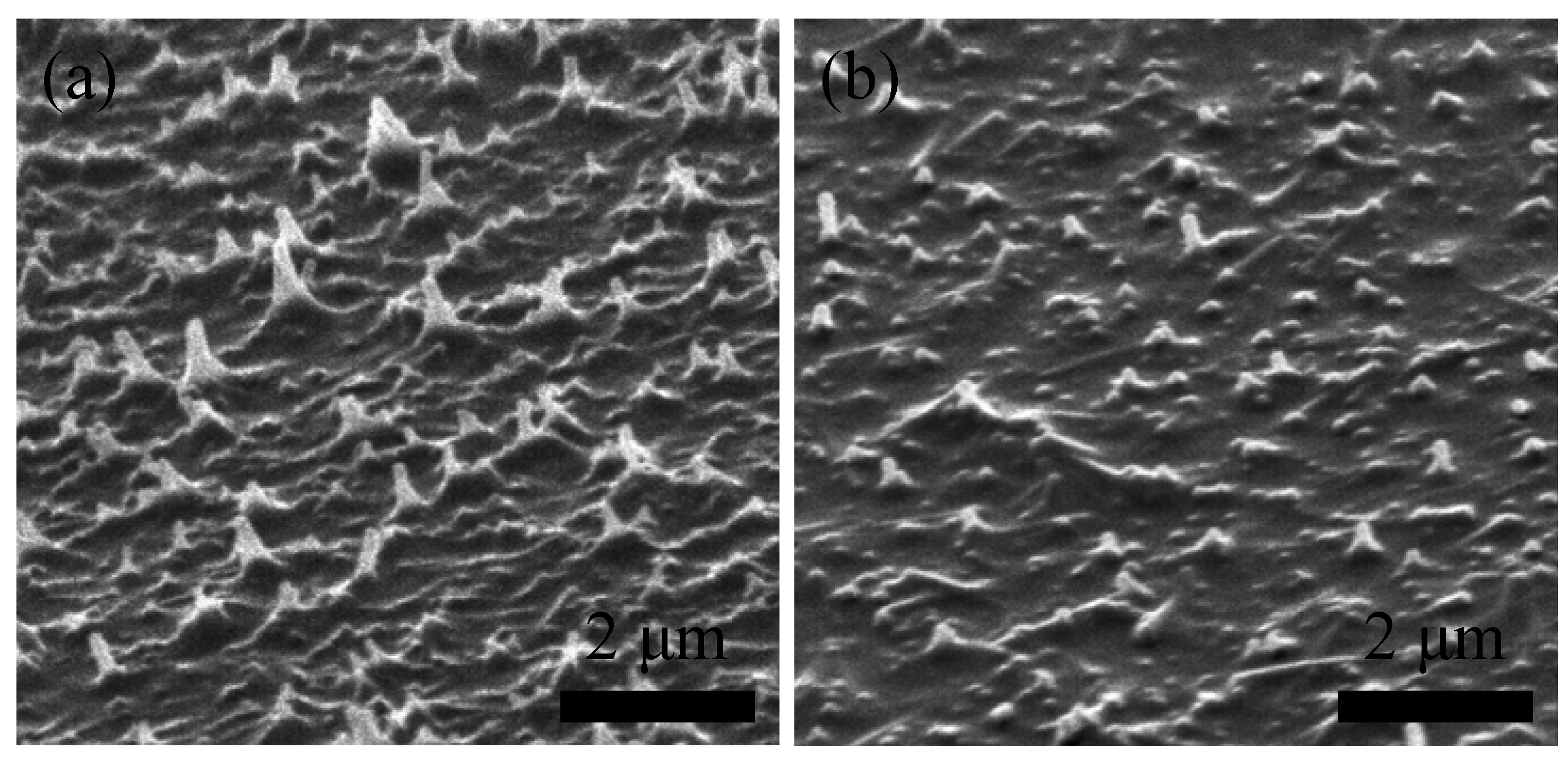 Materials 03 04939 g006