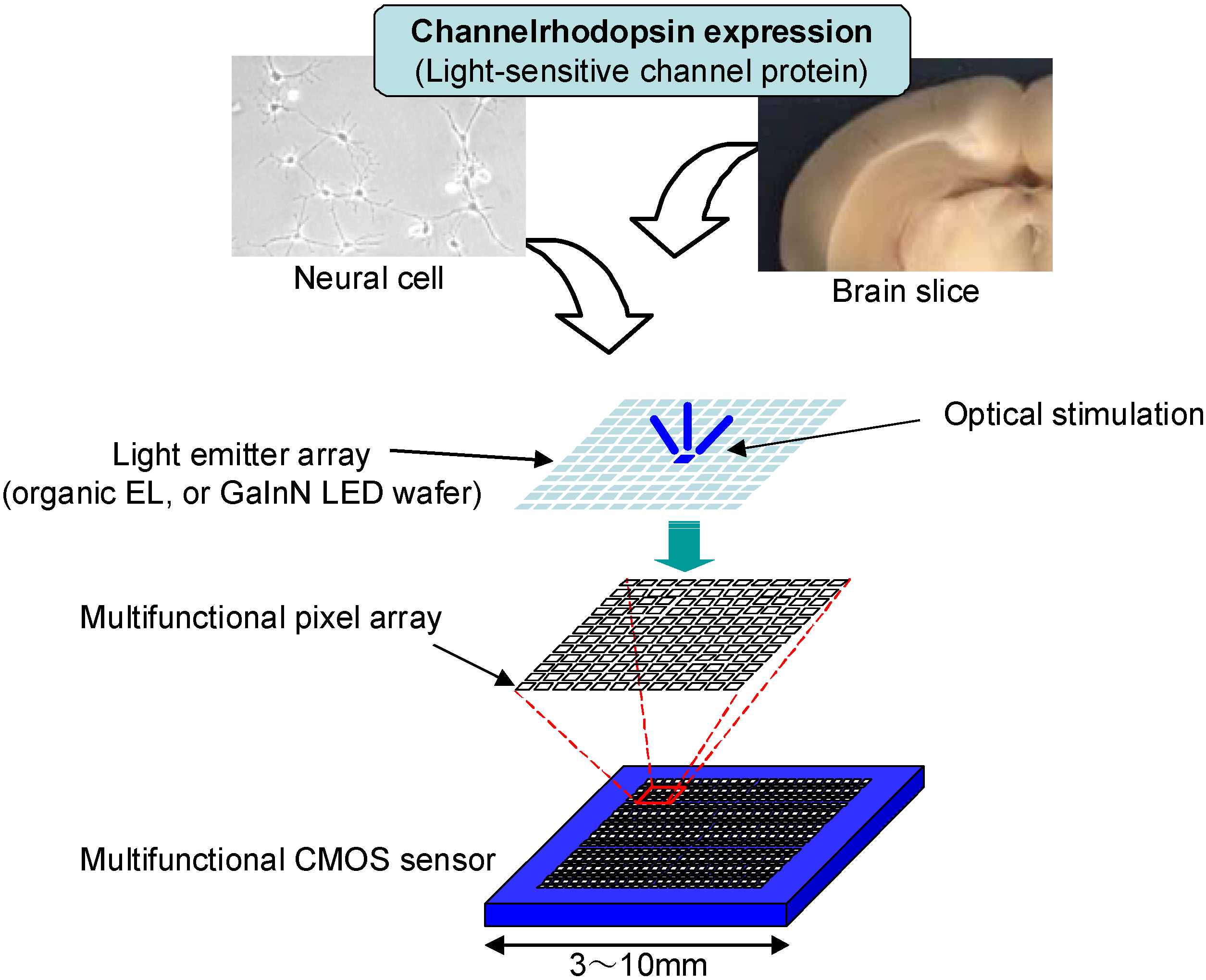 Materials Free FullText Optical and Electric Multifunctional CMOS