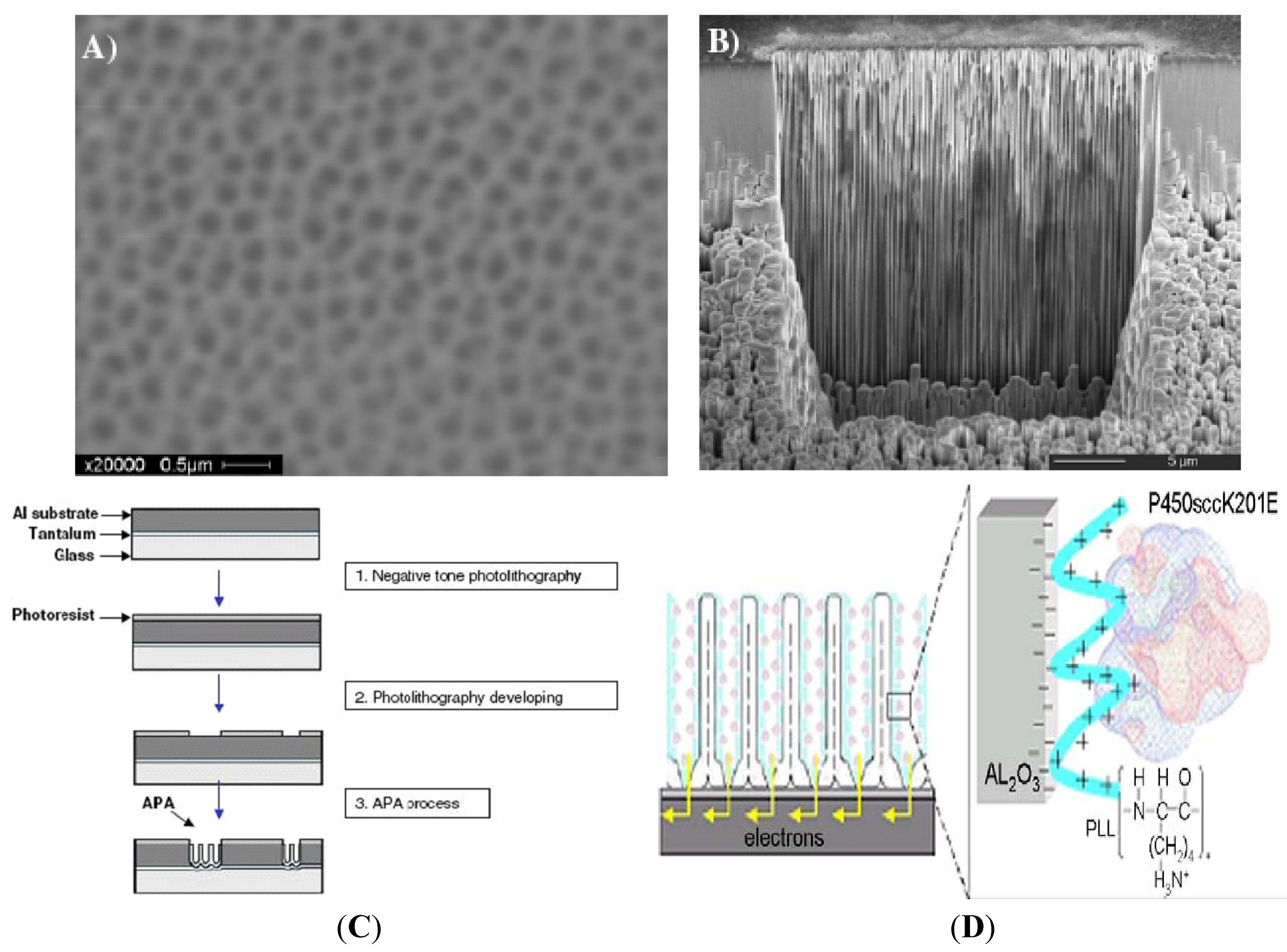 Materials 04 01483 g001