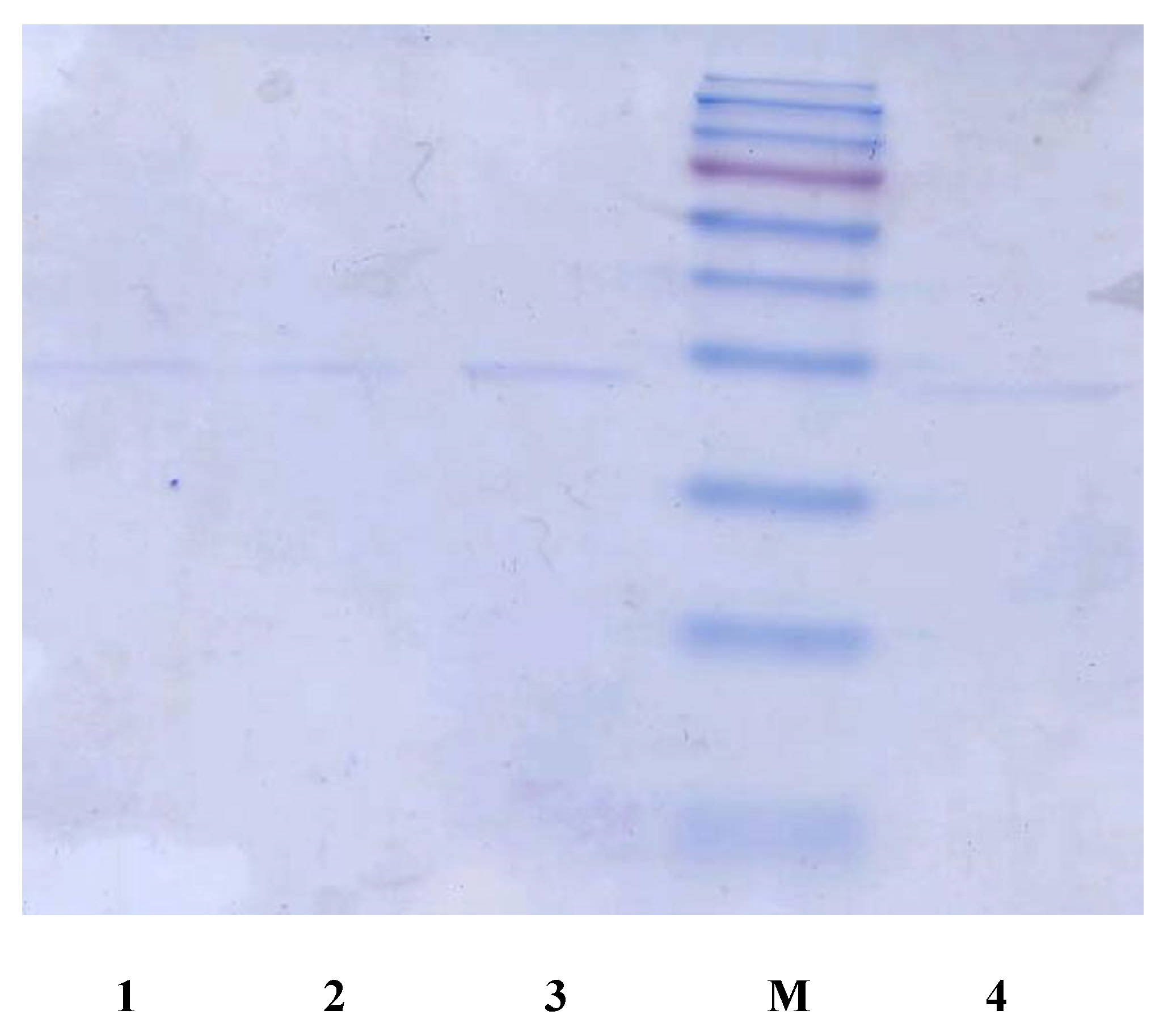 Materials 04 01483 g007b