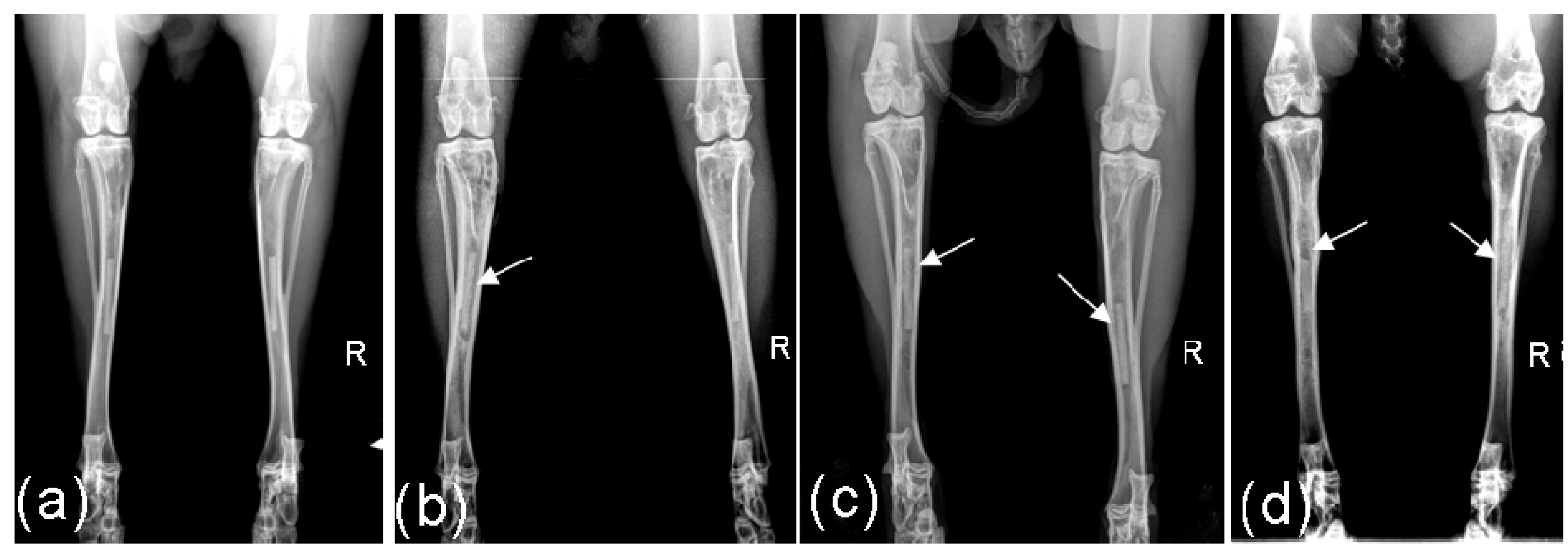 Materials 04 02197 g001