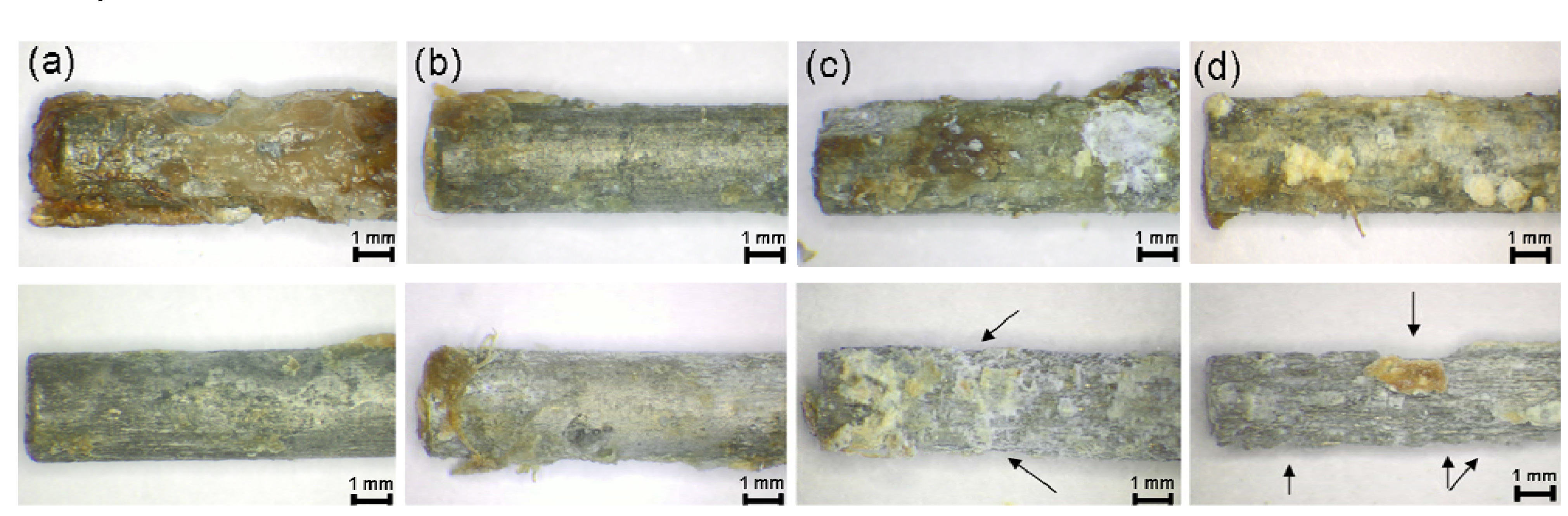 Materials 04 02197 g005