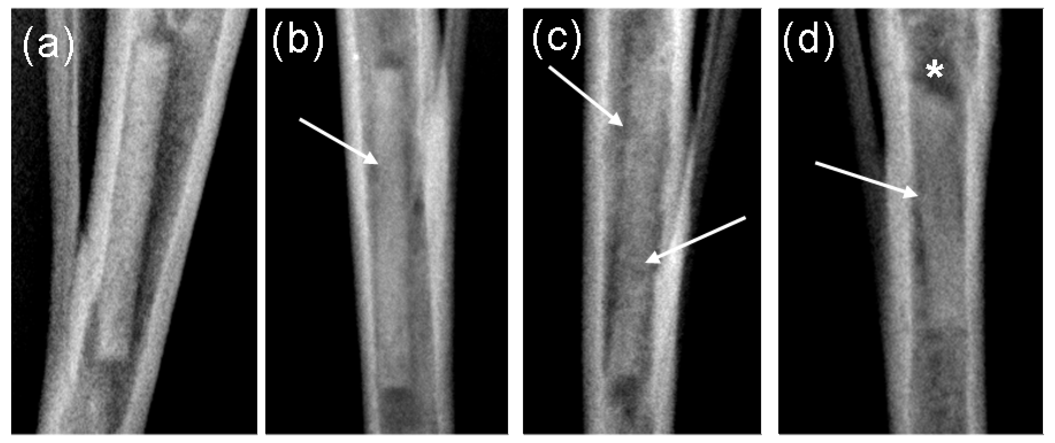 Materials 04 02197 g012