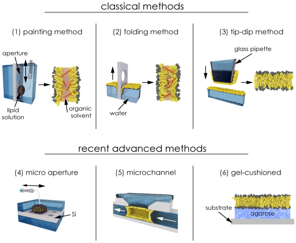 view asymptotic evolution for the semiclassical nonlinear schrodinger equation in presence of electric