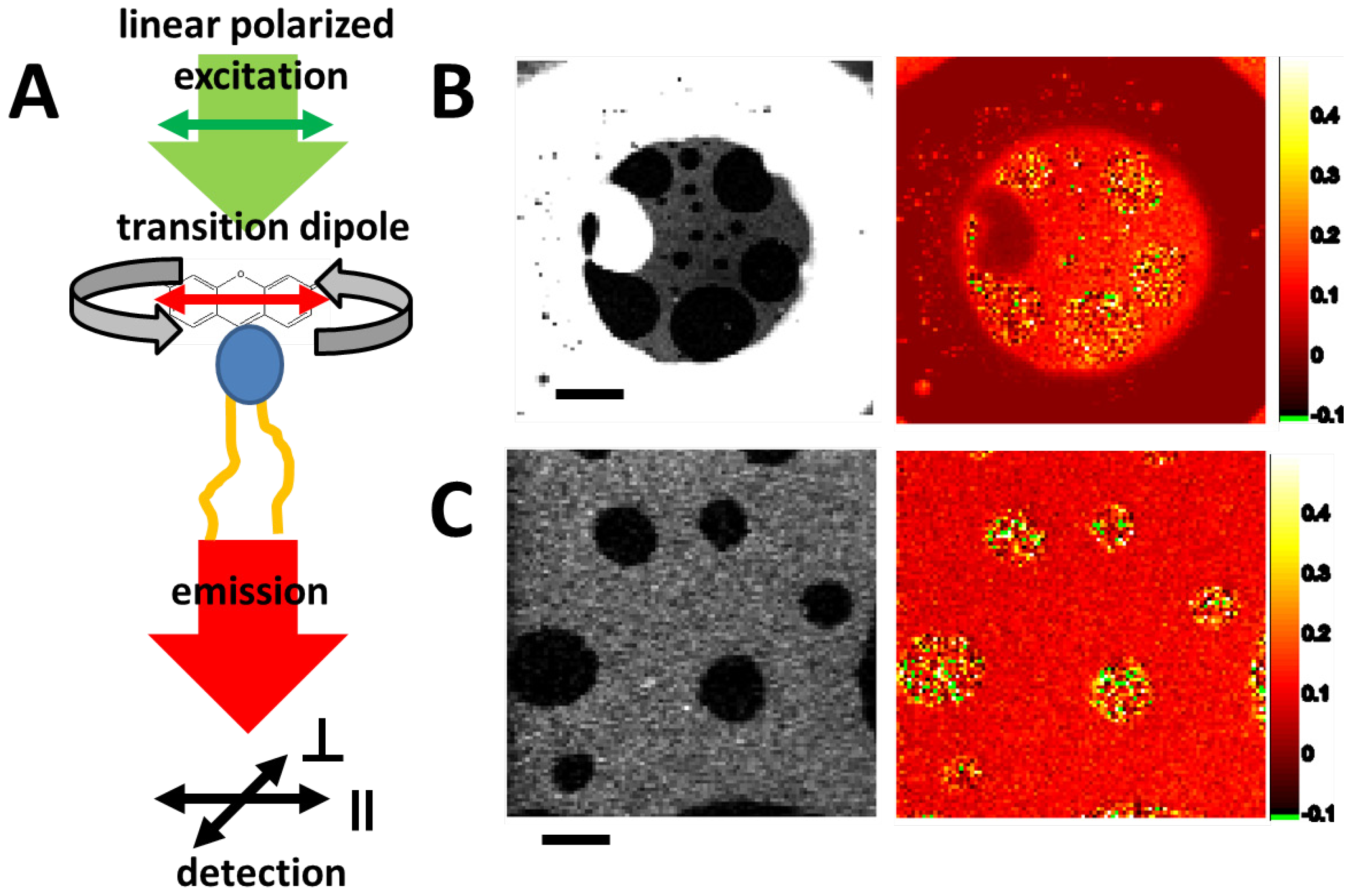 Materials 05 02705 g010