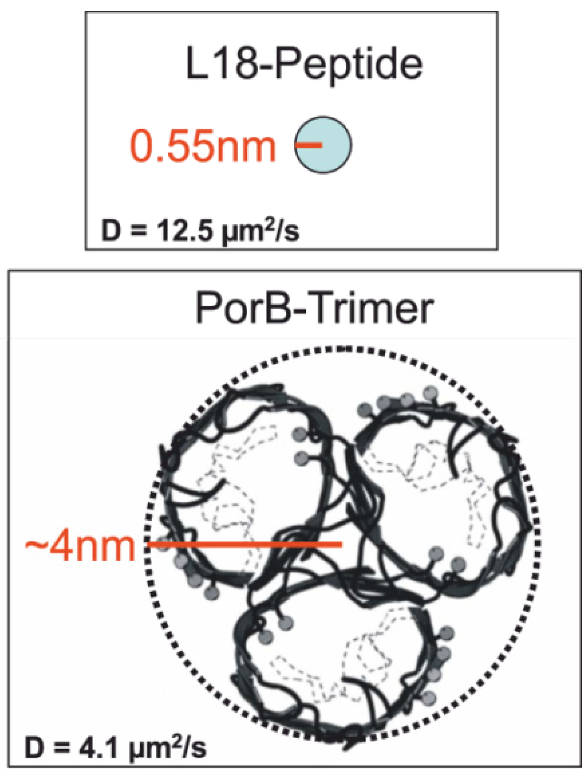 Materials 05 02705 g013