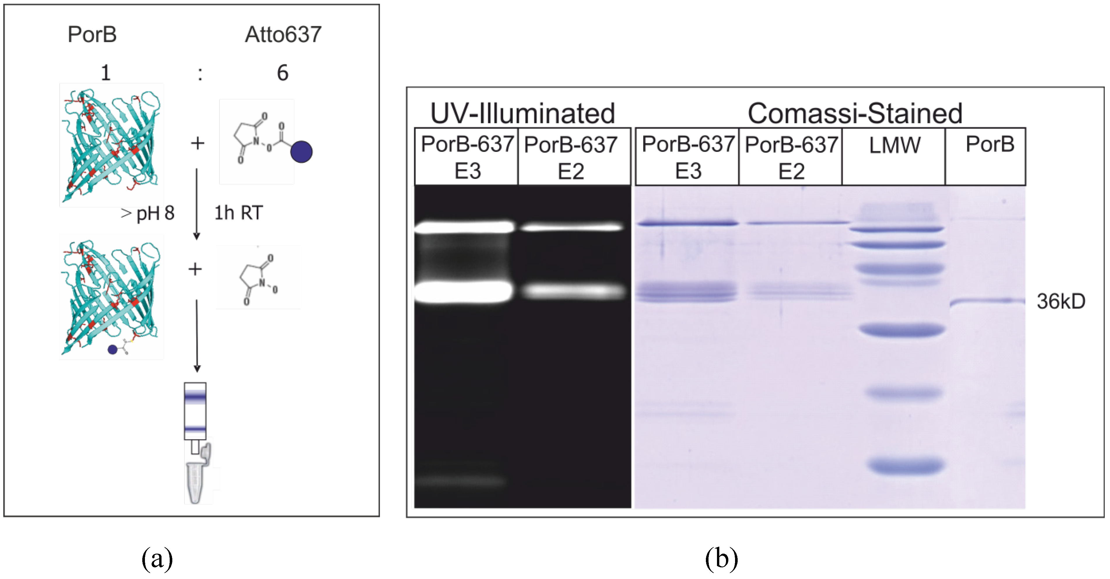 Materials 05 02705 g015