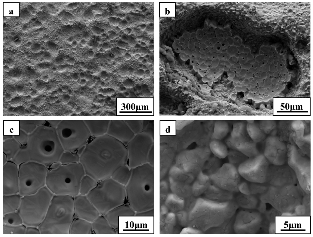 Materials Special Issue Ultrahigh Temperature Ceramics