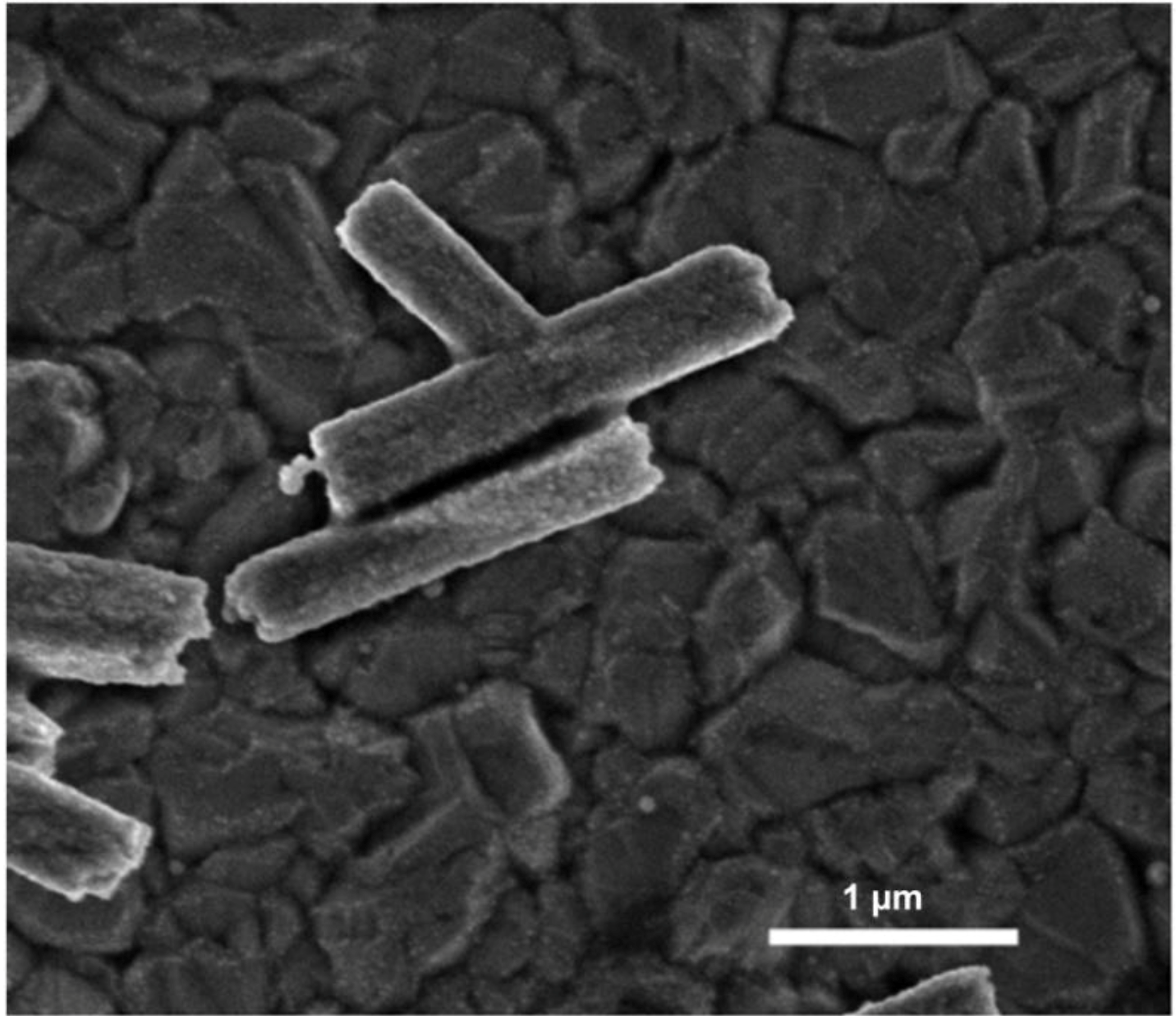 Materials 06 02497 g005