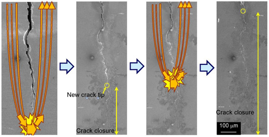 Austenitic Steel Fatigue Crack Growth Behavior
