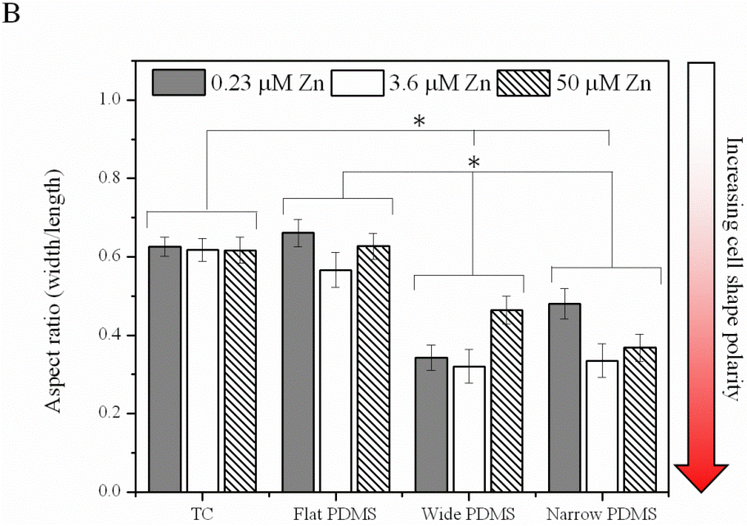 Materials 06 05517 g004b