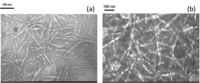 Materials 07 00016f1 200