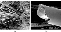 Materials 07 00044f7 200