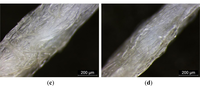 Materials 07 00058f3a 200