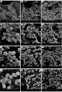 Materials 07 00085f4 200