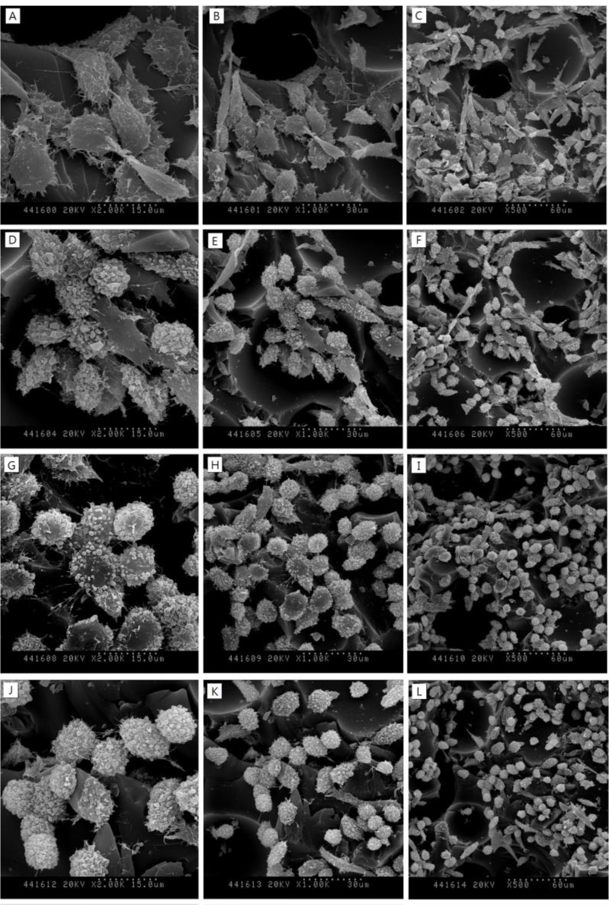 Materials 07 00085f4 1024