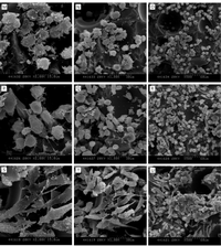 Materials 07 00085f4a 200