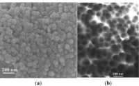 Materials 07 00097f2 200