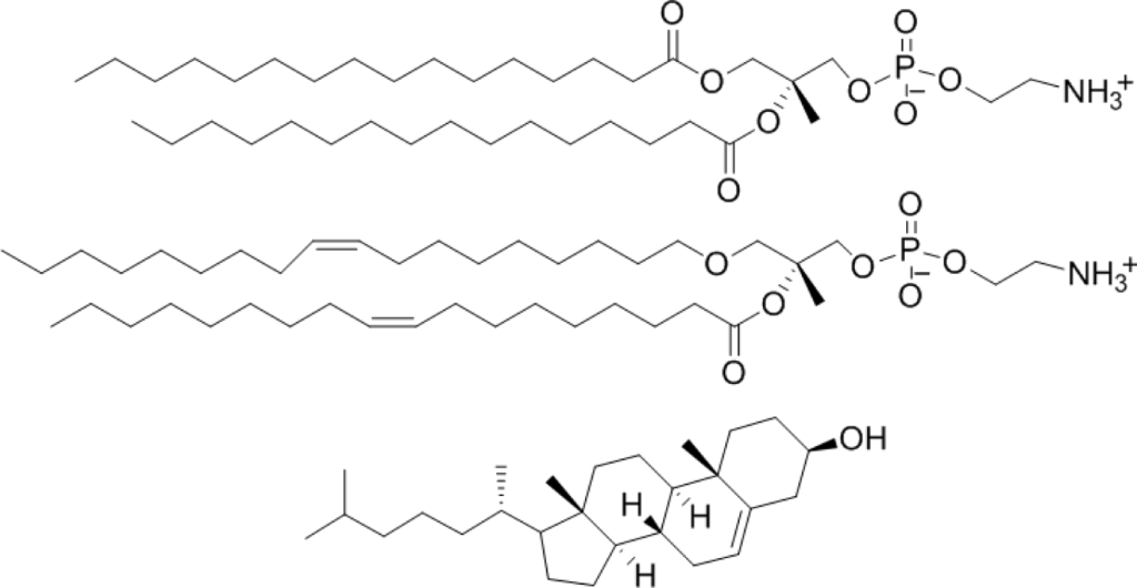 Materials 07 00170f2 1024