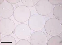 Materials 07 00275f1 200