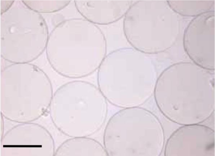 Materials 07 00275f1 1024