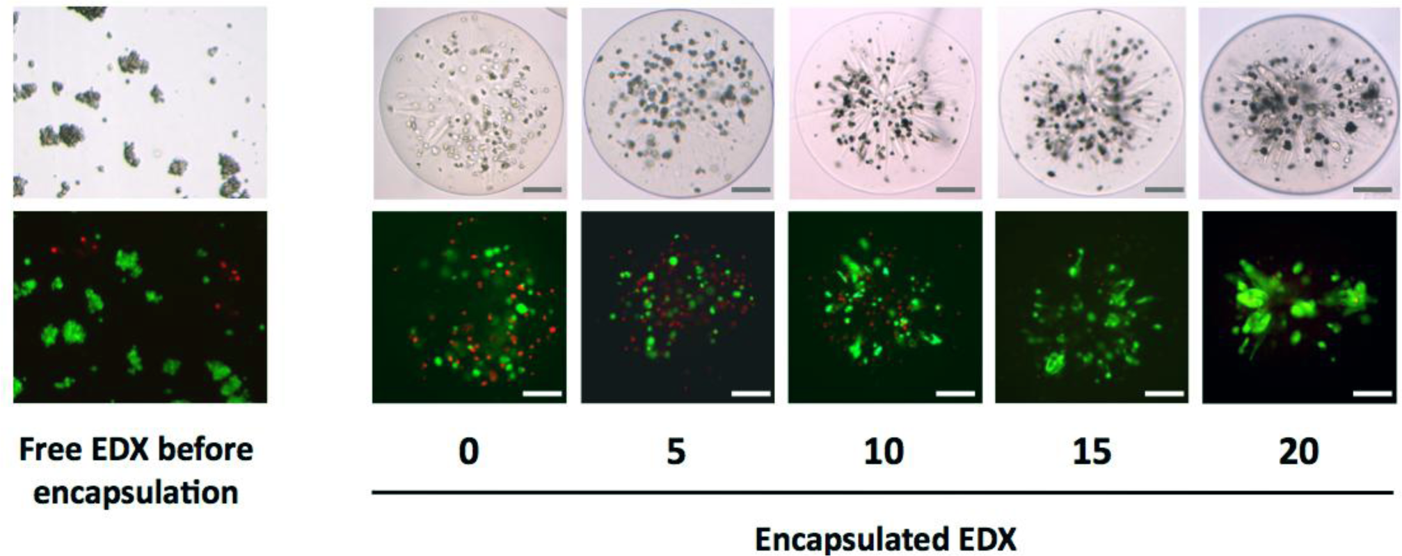 Materials 07 00275f4 1024