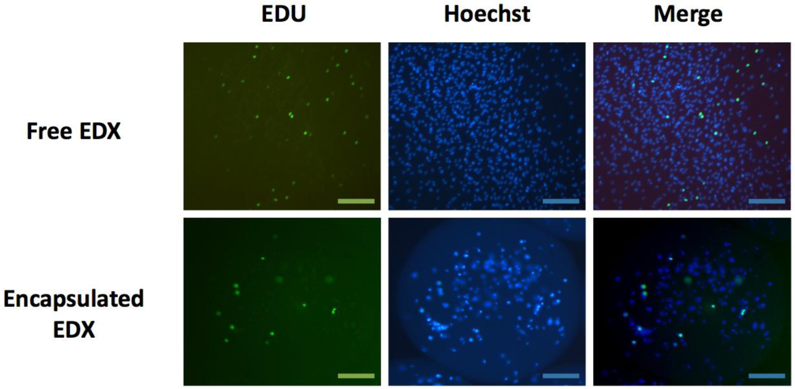 Materials 07 00275f6 1024