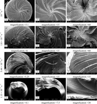 Materials 07 00375f26 200