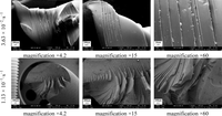 Materials 07 00375f28 200