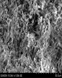 Materials 07 00399f10 200