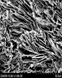Materials 07 00399f11 200