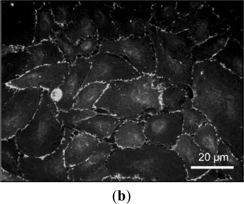 Materials 07 00623f3a 1024
