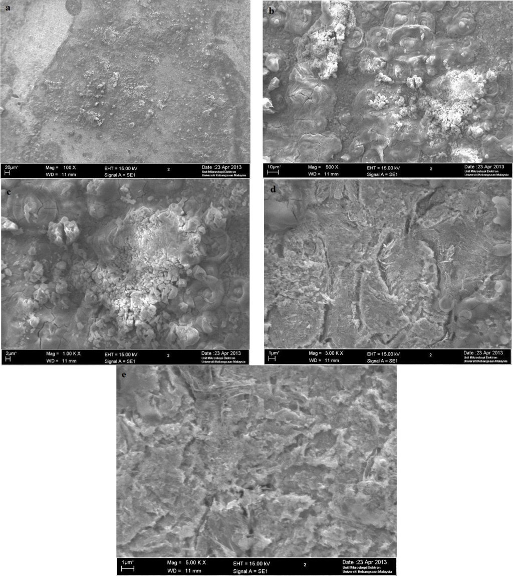 Materials 07 00787f8 1024