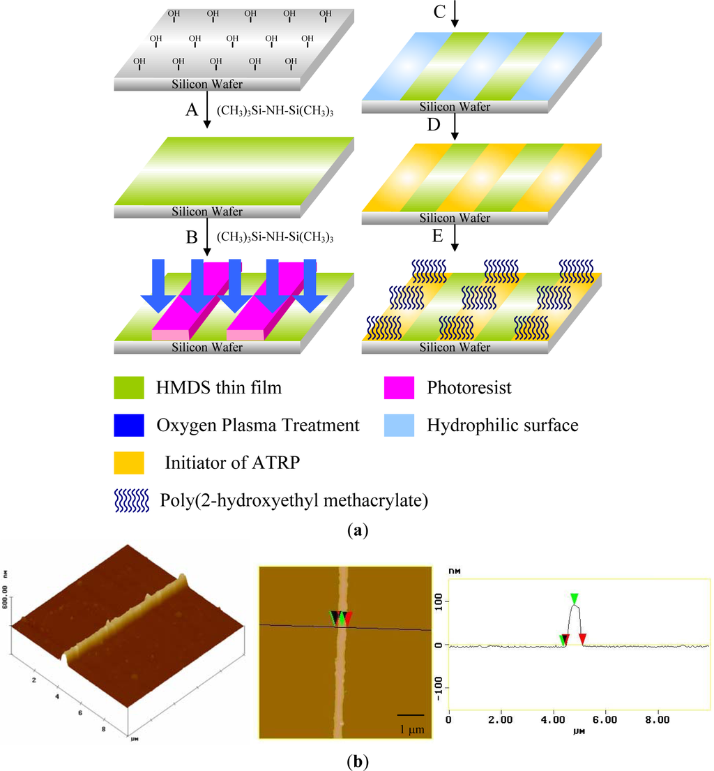 afm microscope