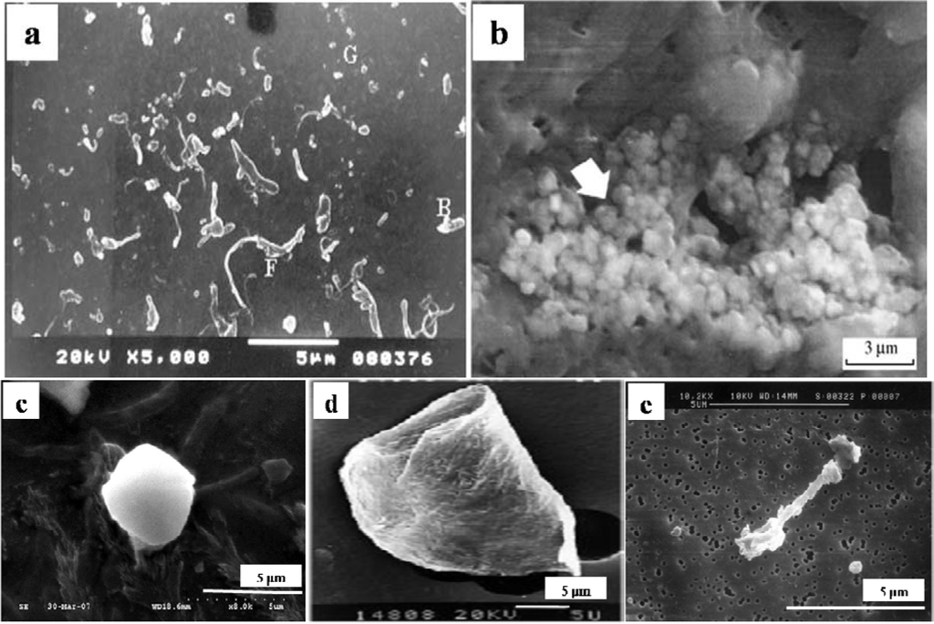 Materials 07 00980f4 1024