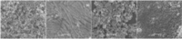 Materials 07 01069f1 200