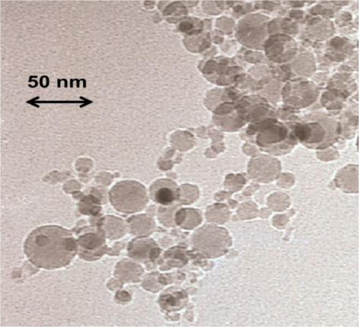 Materials 07 01502f1 1024