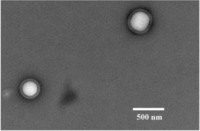 Materials 07 01555f1 200