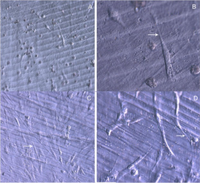 Materials 07 01687f3 200