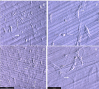 Materials 07 01687f3a 200