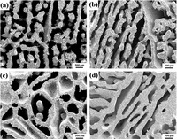 Materials 07 01709f27 200
