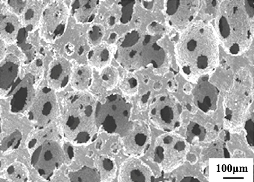 Materials 07 01709f31 1024