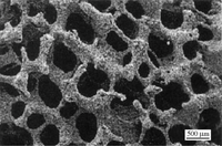 Materials 07 01709f35 200